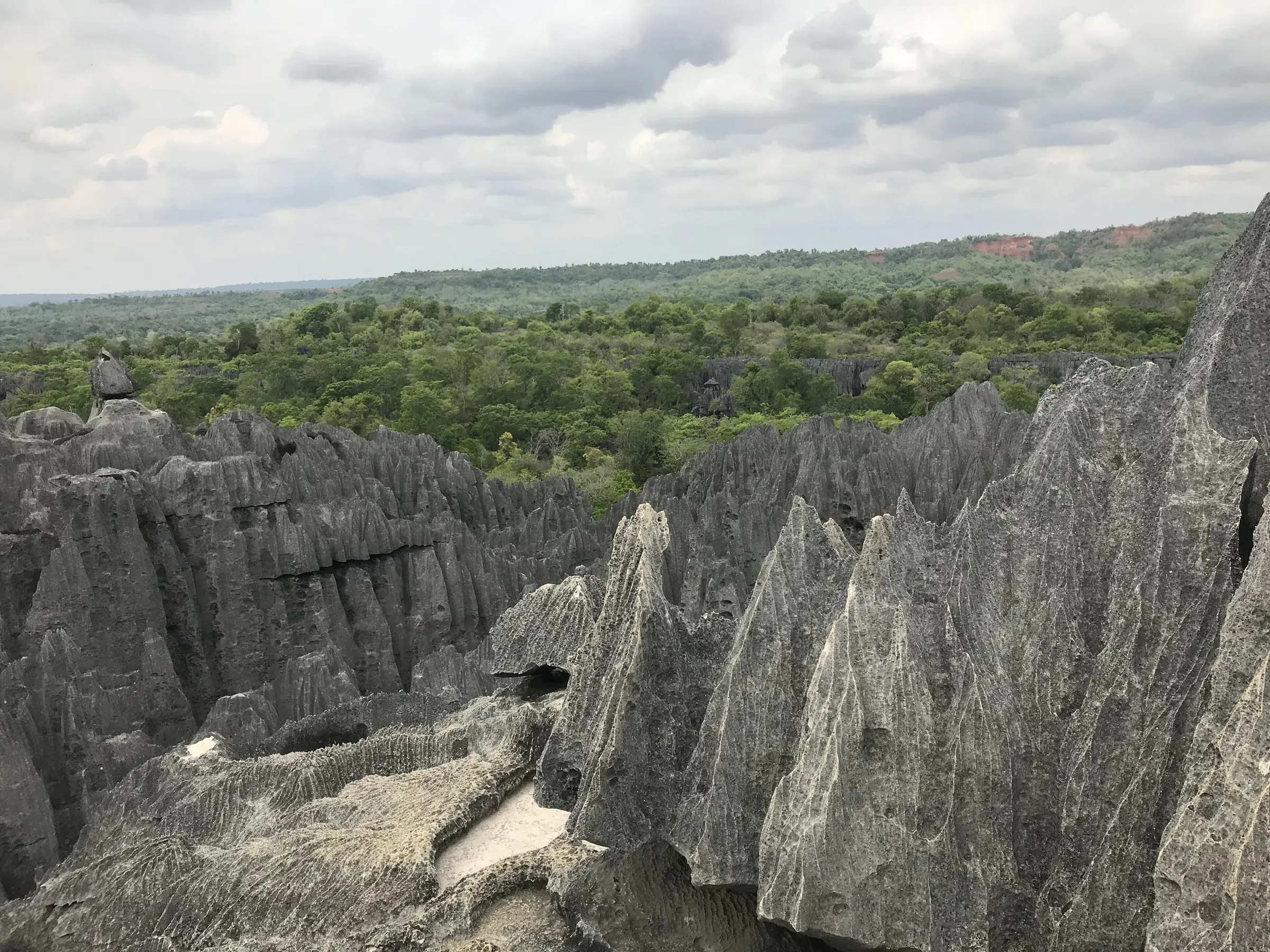 The Tsingy de Bemaraha